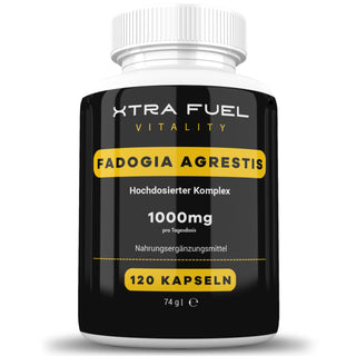 Fadogia Agrestis Kapseln fadogia XTRA FUEL 1x Dose (120x Kapseln Fadogia)  